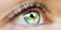 Как международные добровольные стандарты помогают поддерживать безопасность глаз 