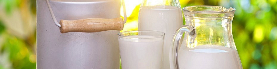 По регламенту на молочную продукцию планируется установить четкий переходный период