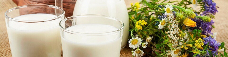 Официально опубликованы изменения в «молочный» регламент