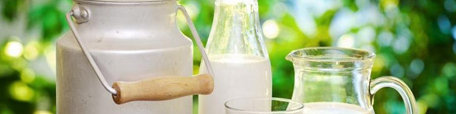 Всемирный день молока и добровольные стандарты ИСО – в чем связь между ними 